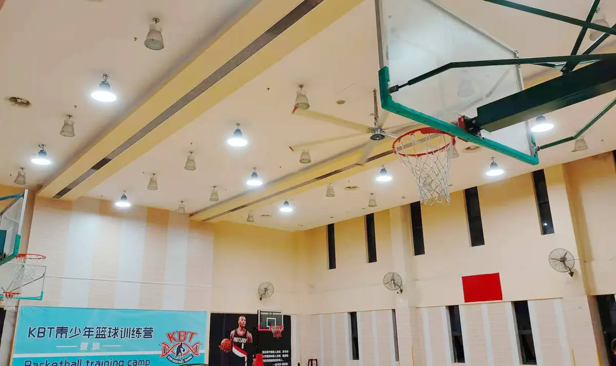 女性篮球爱好者参加集训的优势是什么?_1